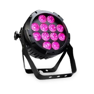 Brighter Pro Par 12IP