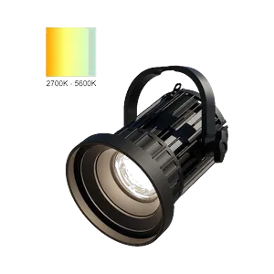 Brother Brother and Sons CFL Bi-Color All
