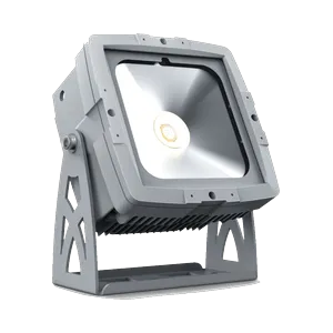 CKC Lighting IP Flood 50WW