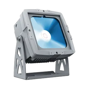 CKC Lighting IP Flood 60FC