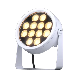 DTS Lighting DOCTUS 12 WH