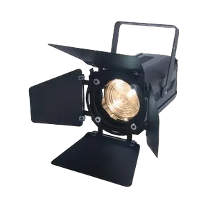Elation ELED Fresnel 100WW