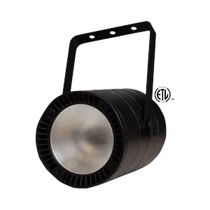 JMAZ PROFESSIONAL ZONA DWS