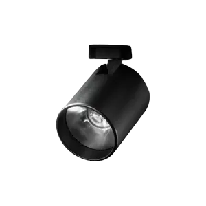 Loupi Lighting Mini D Spot
