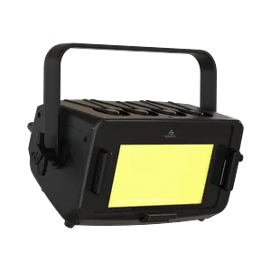 Prolights EclExpoFL300IPFC
