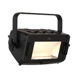 Prolights EclExpoFL300IPVW
