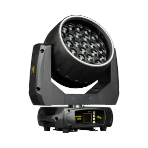 Sagitter JWash400